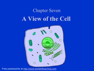 Chapter Seven

A View of the Cell

Free powerpoints at http://www.worldofteaching.com

 