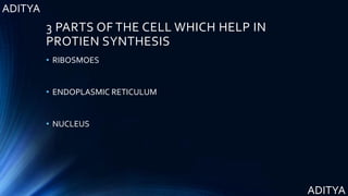 ADITYA
ADITYA
3 PARTS OF THE CELL WHICH HELP IN
PROTIEN SYNTHESIS
• RIBOSMOES
• ENDOPLASMIC RETICULUM
• NUCLEUS
