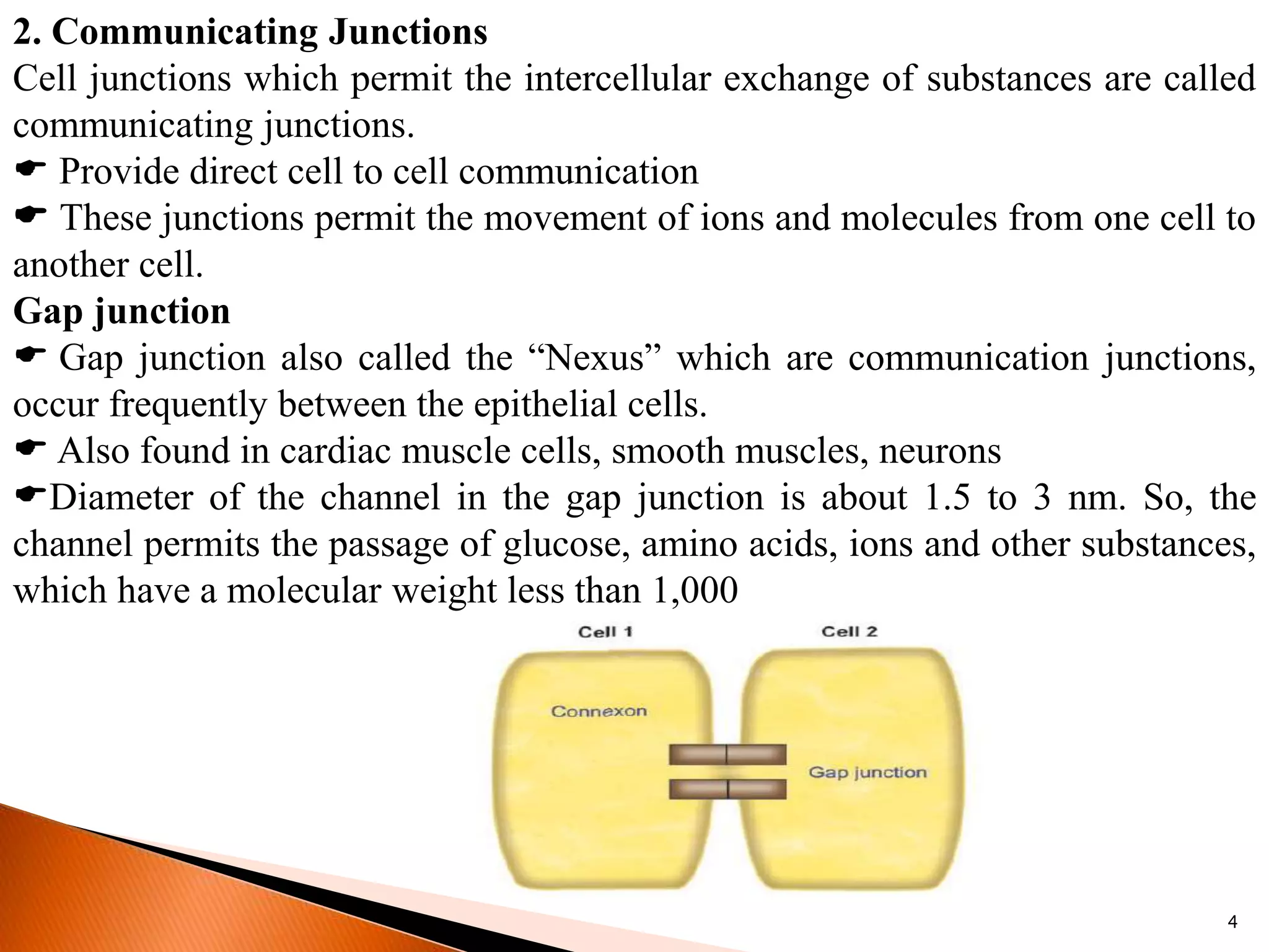 2. Communicating Junctions
Cell junctions which permit the intercellular exchange of substances are called
communicating junctions.
 Provide direct cell to cell communication
 These junctions permit the movement of ions and molecules from one cell to
another cell.
Gap junction
 Gap junction also called the “Nexus” which are communication junctions,
occur frequently between the epithelial cells.
 Also found in cardiac muscle cells, smooth muscles, neurons
Diameter of the channel in the gap junction is about 1.5 to 3 nm. So, the
channel permits the passage of glucose, amino acids, ions and other substances,
which have a molecular weight less than 1,000
4
 