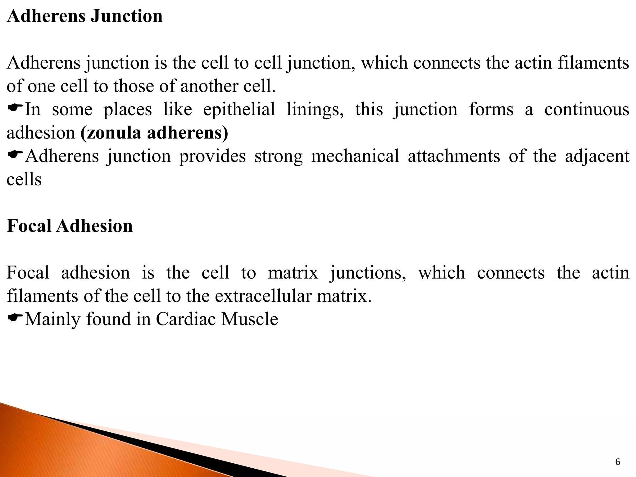 Adherens Junction
Adherens junction is the cell to cell junction, which connects the actin filaments
of one cell to those of another cell.
In some places like epithelial linings, this junction forms a continuous
adhesion (zonula adherens)
Adherens junction provides strong mechanical attachments of the adjacent
cells
Focal Adhesion
Focal adhesion is the cell to matrix junctions, which connects the actin
filaments of the cell to the extracellular matrix.
Mainly found in Cardiac Muscle
6
 