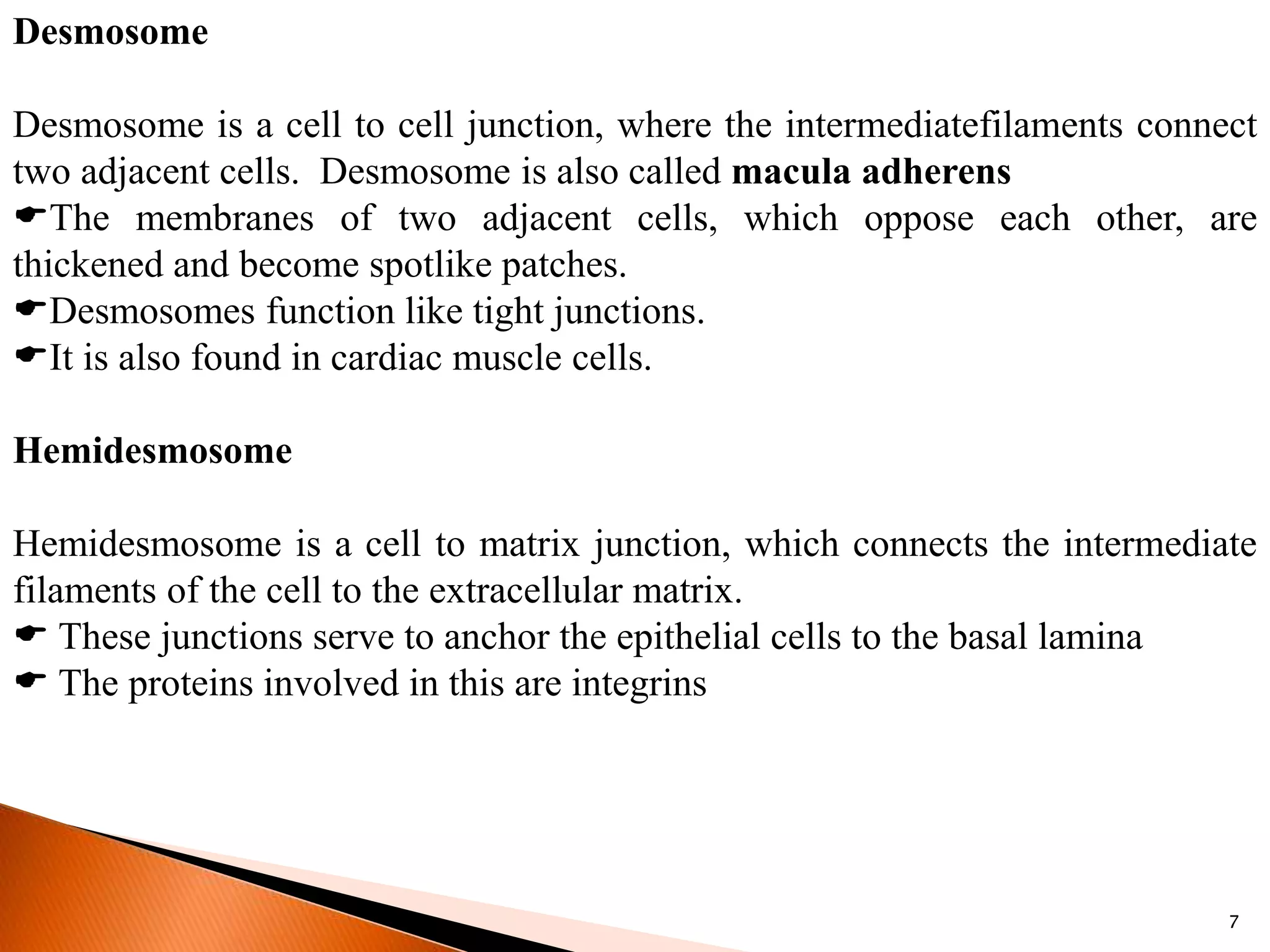 Desmosome
Desmosome is a cell to cell junction, where the intermediatefilaments connect
two adjacent cells. Desmosome is also called macula adherens
The membranes of two adjacent cells, which oppose each other, are
thickened and become spotlike patches.
Desmosomes function like tight junctions.
It is also found in cardiac muscle cells.
Hemidesmosome
Hemidesmosome is a cell to matrix junction, which connects the intermediate
filaments of the cell to the extracellular matrix.
 These junctions serve to anchor the epithelial cells to the basal lamina
 The proteins involved in this are integrins
7
 