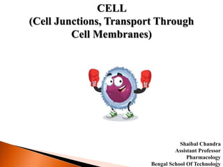 CELL
(Cell Junctions, Transport Through
Cell Membranes)
Shaibal Chandra
Assistant Professor
Pharmacology
Bengal School Of Technology
1
 