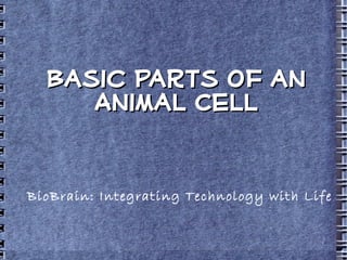 Basic Parts of an Animal Cell BioBrain: Integrating Technology with Life 