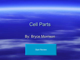 Cell Parts By: Bryce Morrison Start Review 