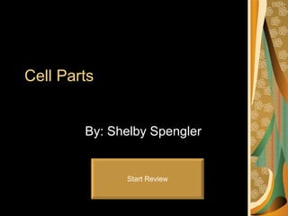 Cell Parts By: Shelby Spengler Start Review 