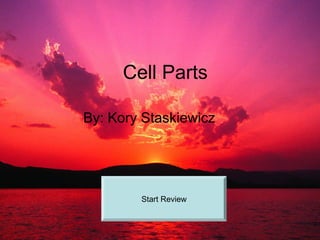 Cell Parts
By: Kory Staskiewicz
Start Review
 