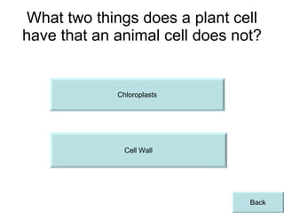 What two things does a plant cell have that an animal cell does not? Chloroplasts Cell Wall Back