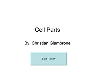 Cell Parts By: Christian Giambrone Start Review 