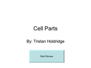 Cell Parts By: Tristan Holdridge Start Review 