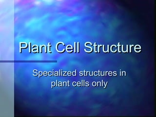 Plant Cell Structure
  Specialized structures in
      plant cells only
 