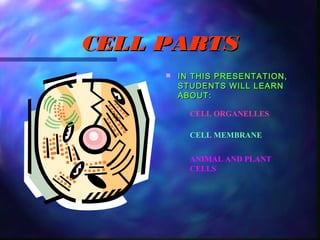 CELL PARTS
        IN THIS PRESENTATION,
         STUDENTS WILL LEARN
         ABOUT:

           CELL ORGANELLES

           CELL MEMBRANE


           ANIMAL AND PLANT
           CELLS
 