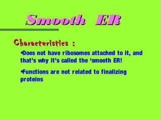Smooth ER
Characteristics :
 •Does not have r ibosomes attached to it, and
 that’s why it’s called the ‘smooth ER!
 •Functions ar e not r elated to finalizing
 pr oteins
 