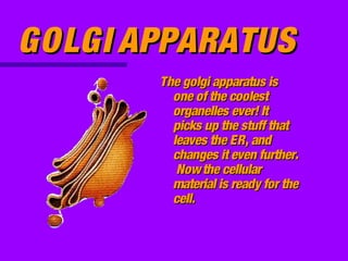 GOLGI APPARATUS
       The golgi apparatus is
         one of the coolest
         organelles ever! It
         picks up the stuff that
         leaves the ER, and
         changes it even further.
          Now the cellular
         material is ready for the
         cell.
 