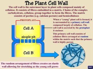 Cell Parts and Structure Power point Presentation.PPT
