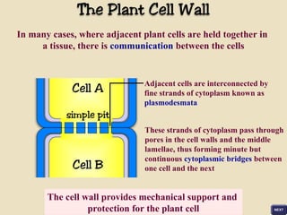 Cell Bridge Structural Cell Parts and Structure Power point Presentation.PPT