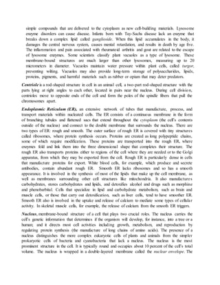 simple compounds that are delivered to the cytoplasm as new cell-building materials. Lysosome 
enzyme disorders can cause disease. Infants born with Tay-Sachs disease lack an enzyme that 
breaks down a complex lipid called ganglioside. When this lipid accumulates in the body, it 
damages the central nervous system, causes mental retardation, and results in death by age five. 
The inflammation and pain associated with rheumatoid arthritis and gout are related to the escape 
of lysosome enzymes. Some scientists classify plant vacuoles as a type of lysosome. These 
membrane-bound structures are much larger than other lysosomes, measuring up to 20 
micrometers in diameter. Vacuoles maintain water pressure within plant cells, called turgor, 
preventing wilting. Vacuoles may also provide long-term storage of polysaccharides, lipids, 
proteins, pigments, and harmful materials such as rubber or opium that may deter predators. 
Centriole is a rod-shaped structure in cell in an animal cell, a two-part rod-shaped structure with the 
parts lying at right angles to each other, located in pairs near the nucleus. During cell division, 
centrioles move to opposite ends of the cell and form the poles of the spindle fibers that pull the 
chromosomes apart. 
Endoplasmic Reticulum (ER), an extensive network of tubes that manufacture, process, and 
transport materials within nucleated cells. The ER consists of a continuous membrane in the form 
of branching tubules and flattened sacs that extend throughout the cytoplasm (the cell’s contents 
outside of the nucleus) and connect to the double membrane that surrounds the nucleus. There are 
two types of ER: rough and smooth. The outer surface of rough ER is covered with tiny structures 
called ribosomes, where protein synthesis occurs. Proteins are created as long polypeptide chains, 
some of which require modification. These proteins are transported into the rough ER, where 
enzymes fold and link them into the three dimensional shape that completes their structure. The 
rough ER also transports proteins either to regions of the cell where they are needed or to the Golgi 
apparatus, from which they may be exported from the cell. Rough ER is particularly dense in cells 
that manufacture proteins for export. White blood cells, for example, which produce and secrete 
antibodies, contain abundant rough ER. Smooth ER lacks ribosomes and so has a smooth 
appearance. It is involved in the synthesis of most of the lipids that make up the cell membrane, as 
well as membranes surrounding other cell structures like mitochondria. It also manufacture s 
carbohydrates, stores carbohydrates and lipids, and detoxifies alcohol and drugs such as morphine 
and phenobarbital. Cells that specialize in lipid and carbohydrate metabolism, such as brain and 
muscle cells, or those that carry out detoxification, such as liver cells, tend to have smoother ER. 
Smooth ER also is involved in the uptake and release of calcium to mediate some types of cellula r 
activity. In skeletal muscle cells, for example, the release of calcium from the smooth ER triggers. 
Nucleus, membrane-bound structure of a cell that plays two crucial roles. The nucleus carries the 
cell’s genetic information that determines if the organism will develop, for instance, into a tree or a 
human; and it directs most cell activities including growth, metabolism, and reproduction by 
regulating protein synthesis (the manufacture of long chains of amino acids). The presence of a 
nucleus distinguishes the more complex eukaryotic cells of plants and animals from the simpler 
prokaryotic cells of bacteria and cyanobacteria that lack a nucleus. The nucleus is the most 
prominent structure in the cell. It is typically round and occupies about 10 percent of the cell’s total 
volume. The nucleus is wrapped in a double-layered membrane called the nuclear envelope. The 
 