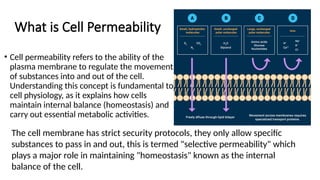 Permeability Cell Spring Cell Permeability and Selective permeability.pptx