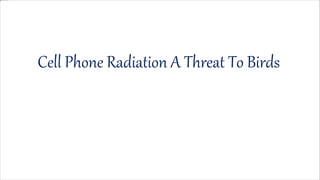 Cell Phone Radiation A Threat To Birds
 
