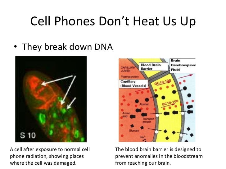 Cell Phone Radiation
