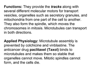 Functions:  They provide the  tracks  along with several different molecular motors for transport vesicles, organelles such as secretory granules, and mitochondria from one part of the cell to another. They also form the spindle, which moves the chromosomes in mitosis. Microtubules can transport in both directions. Applied Physiology:  Microtubule assembly is prevented by colchicine and vinblastine. The anticancer drug  paclitaxel (Taxol)  binds to microtubules and makes them so stable that organelles cannot move. Mitotic spindles cannot form, and the cells die . 