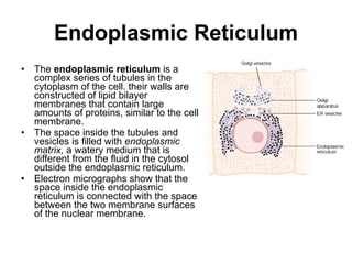 Endoplasmic Reticulum The  endoplasmic reticulum  is a complex series of tubules in the cytoplasm of the cell .   their walls are constructed of lipid bilayer membranes that contain large amounts of proteins, similar to the cell membrane.  The space inside the tubules and vesicles is filled with  endoplasmic matrix,  a watery medium that is different from the fluid in the cytosol outside the endoplasmic reticulum. Electron micrographs show that the space inside the endoplasmic reticulum is connected with the space between the two membrane surfaces of the nuclear membrane. 