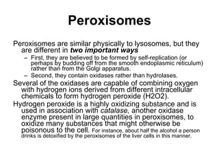 Peroxisomes Peroxisomes are similar physically to lysosomes, but they are different in  two important ways First, they are believed to be formed by self-replication (or perhaps by budding off from the smooth endoplasmic reticulum) rather than from the Golgi apparatus.  Second, they contain oxidases rather than hydrolases.  Several of the oxidases are capable of combining oxygen with hydrogen ions derived from different intracellular chemicals to form hydrogen peroxide (H2O2).  Hydrogen peroxide is a highly oxidizing substance and is used in association with  catalase,  another oxidase enzyme present in large quantities in peroxisomes, to oxidize many substances that might otherwise be poisonous to the cell.  For instance, about half the alcohol a person drinks is detoxified by the peroxisomes of the liver cells in this manner. 