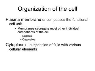 Organization of the cell Plasma membrane  encompasses the functional cell unit Membranes segregate most other individual components of the cell Nucleus Organelles Cytoplasm -   suspension of fluid with various cellular elements 