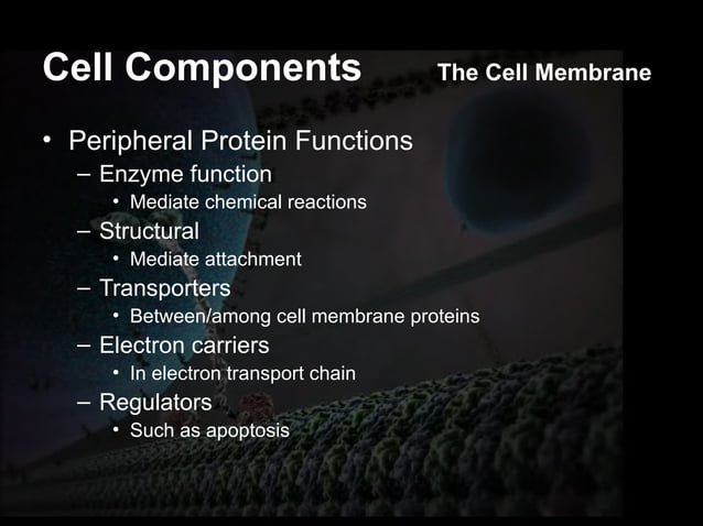Cell Physiology-1 What is a Cell? A cell is the structural and ...