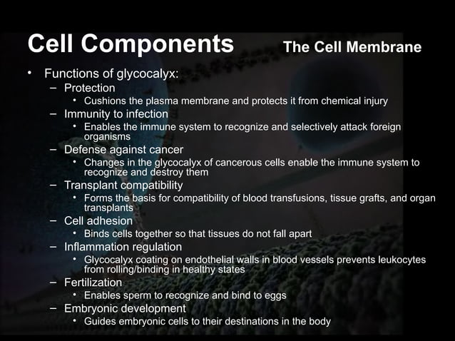 Cell Physiology-1 What is a Cell? A cell is the structural and ...
