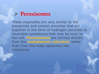 These organelles are very similar to the
lysosomes and contain enzymes that act
together in the form of hydrogen peroxide to
neutralize substances that may be toxic to
the cell. Peroxisomes are formed directly
from the endoplasmic reticulum rather
than from the Golgi apparatus like
lysosomes.
 Peroxisomes
 