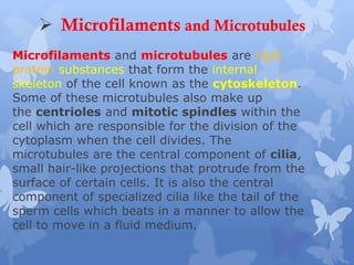 Microfilaments and microtubules are rigid
protein substances that form the internal
skeleton of the cell known as the cytoskeleton.
Some of these microtubules also make up
the centrioles and mitotic spindles within the
cell which are responsible for the division of the
cytoplasm when the cell divides. The
microtubules are the central component of cilia,
small hair-like projections that protrude from the
surface of certain cells. It is also the central
component of specialized cilia like the tail of the
sperm cells which beats in a manner to allow the
cell to move in a fluid medium.
 Microfilaments and Microtubules
 