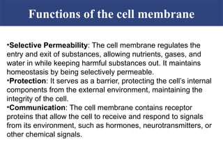 CELL PHYSIOLOGY.ppt..................... | PPT