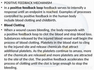 Intesify Example dmlt syllabus physiology CELLPHYSIOLOGY.pptx