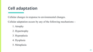 Basics of Cell Physiology and Cell Adaptation | PPTX