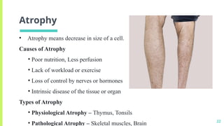 Basics of Cell Physiology and Cell Adaptation | PPTX