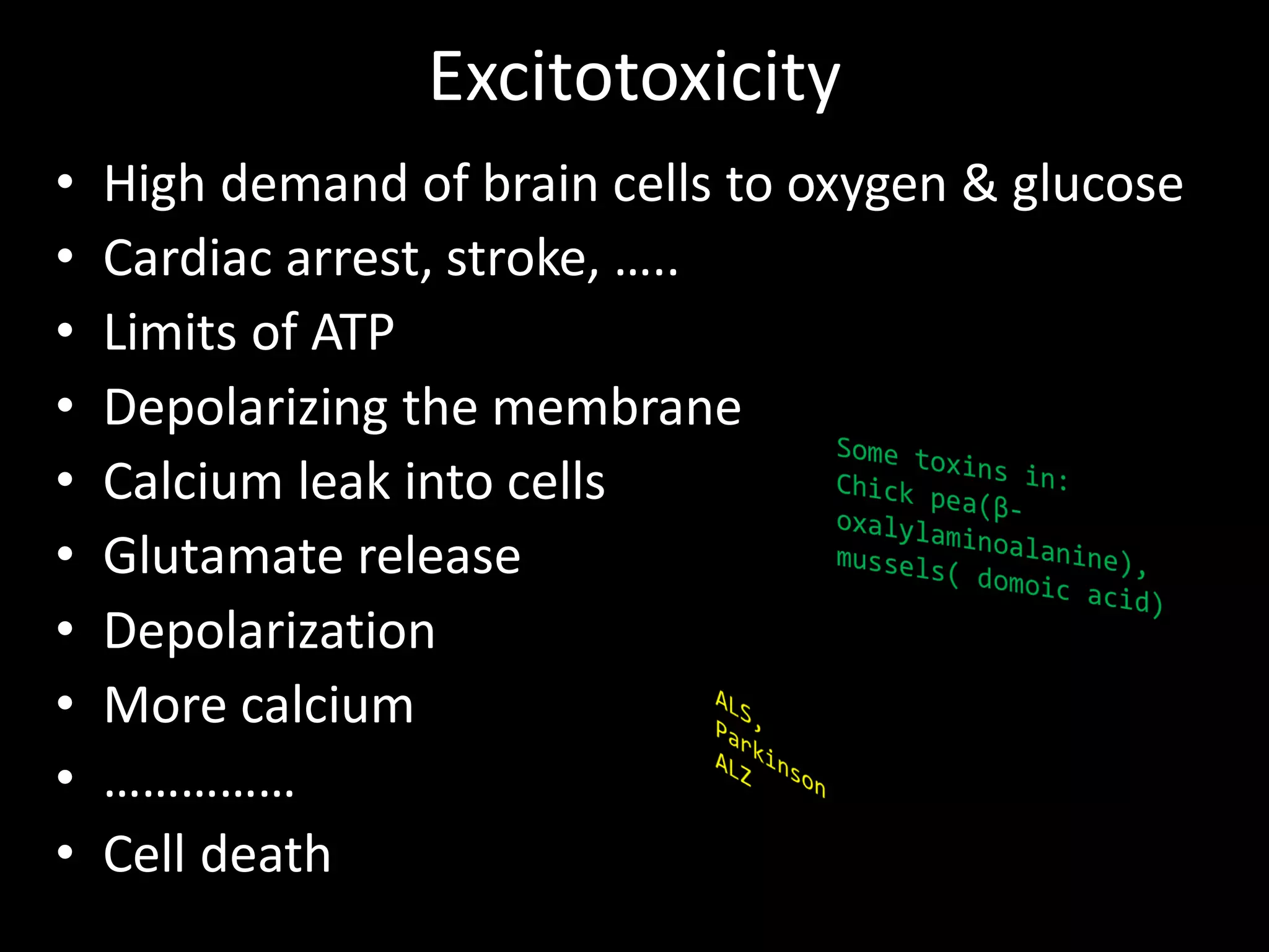 Excitotoxicity
•   High demand of brain cells to oxygen & glucose
•   Cardiac arrest, stroke, …..
•   Limits of ATP
•   Depolarizing the membrane
•   Calcium leak into cells
•   Glutamate release
•   Depolarization
•   More calcium
•   ……………
•   Cell death
 