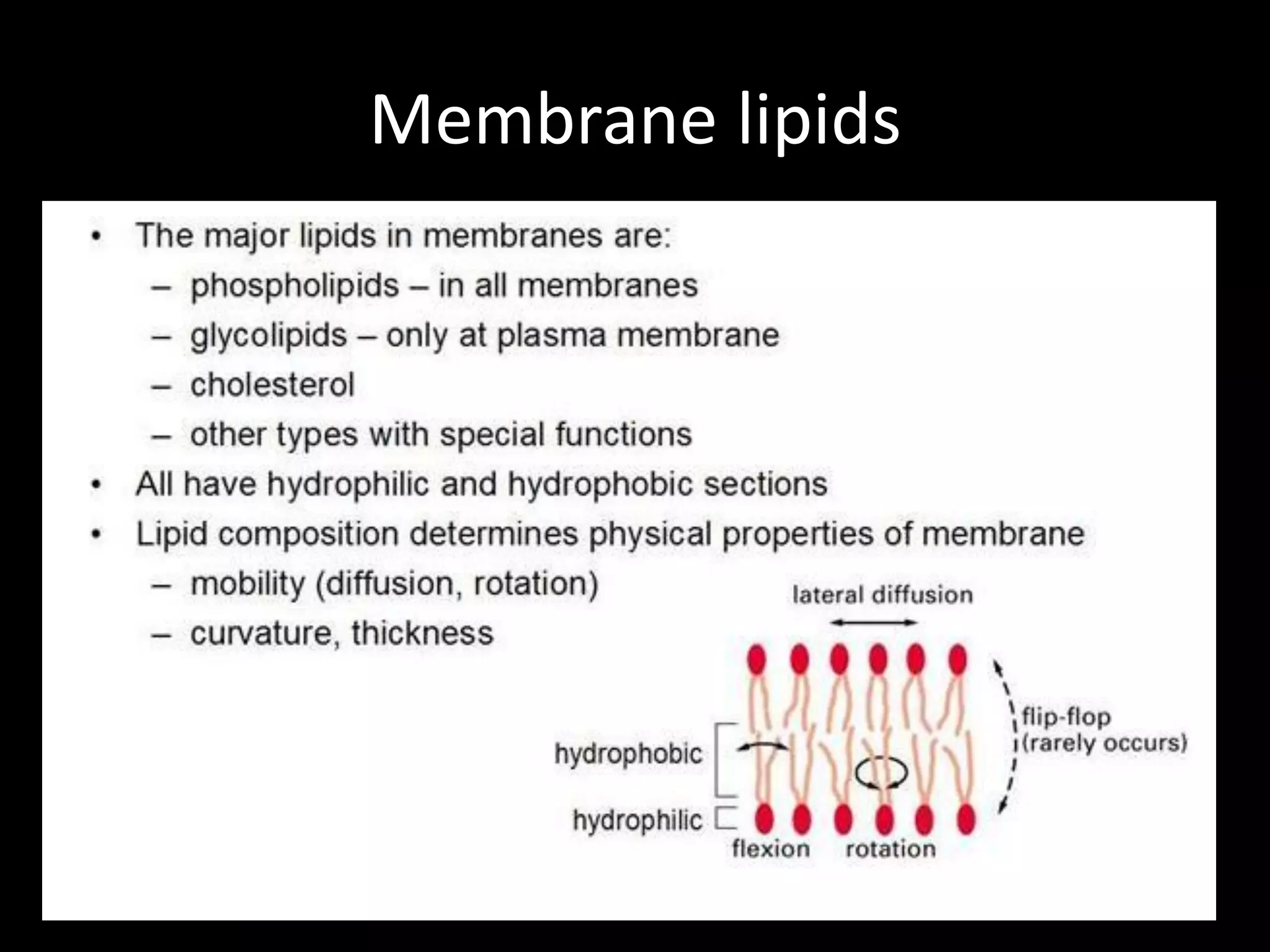 Membrane lipids
 