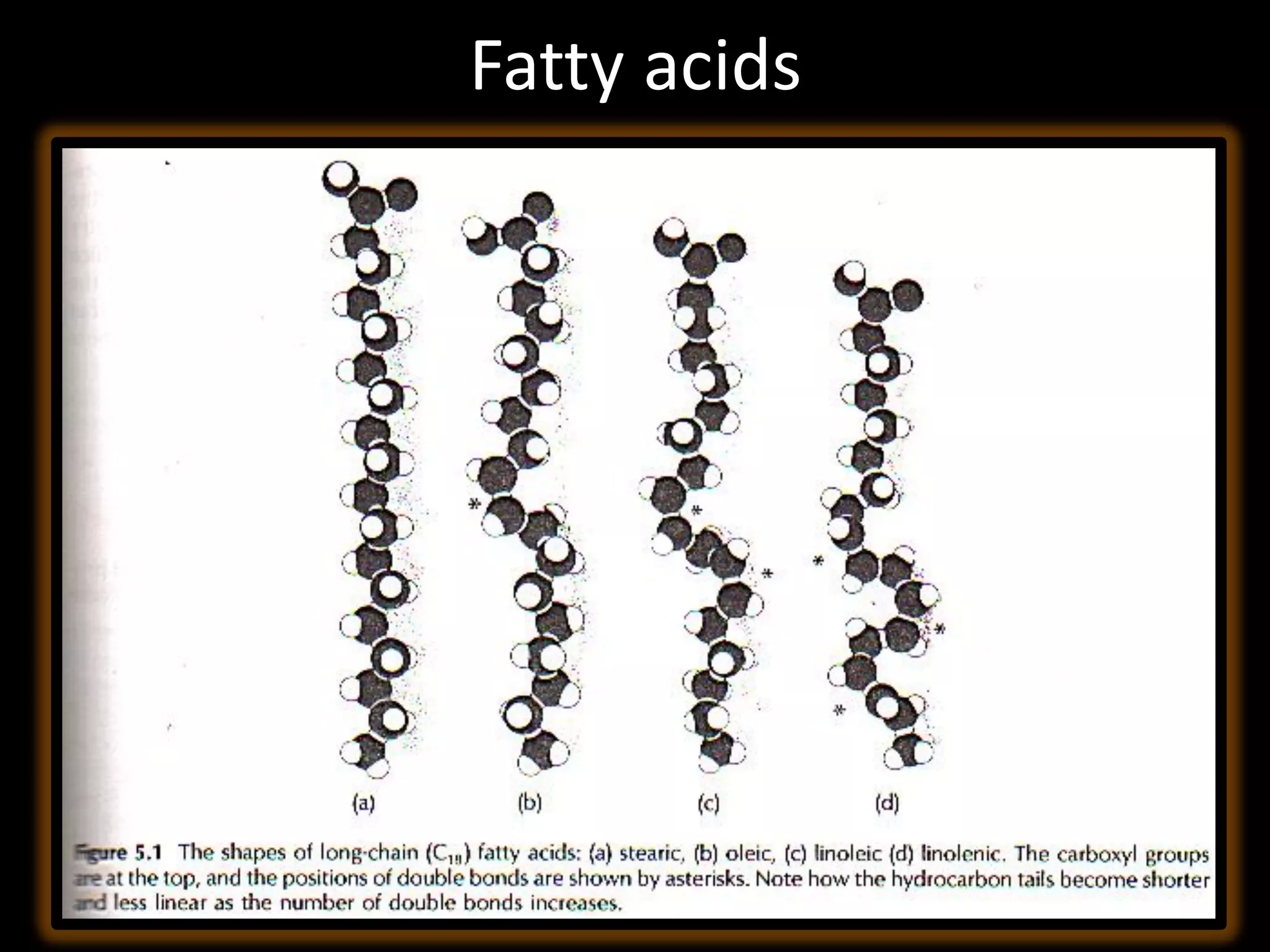 Fatty acids
 