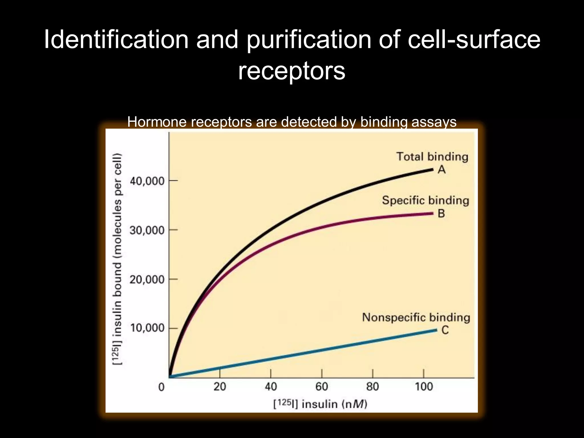 Identification and purification of cell-surface
                  receptors
       Hormone receptors are detected by binding assays
 