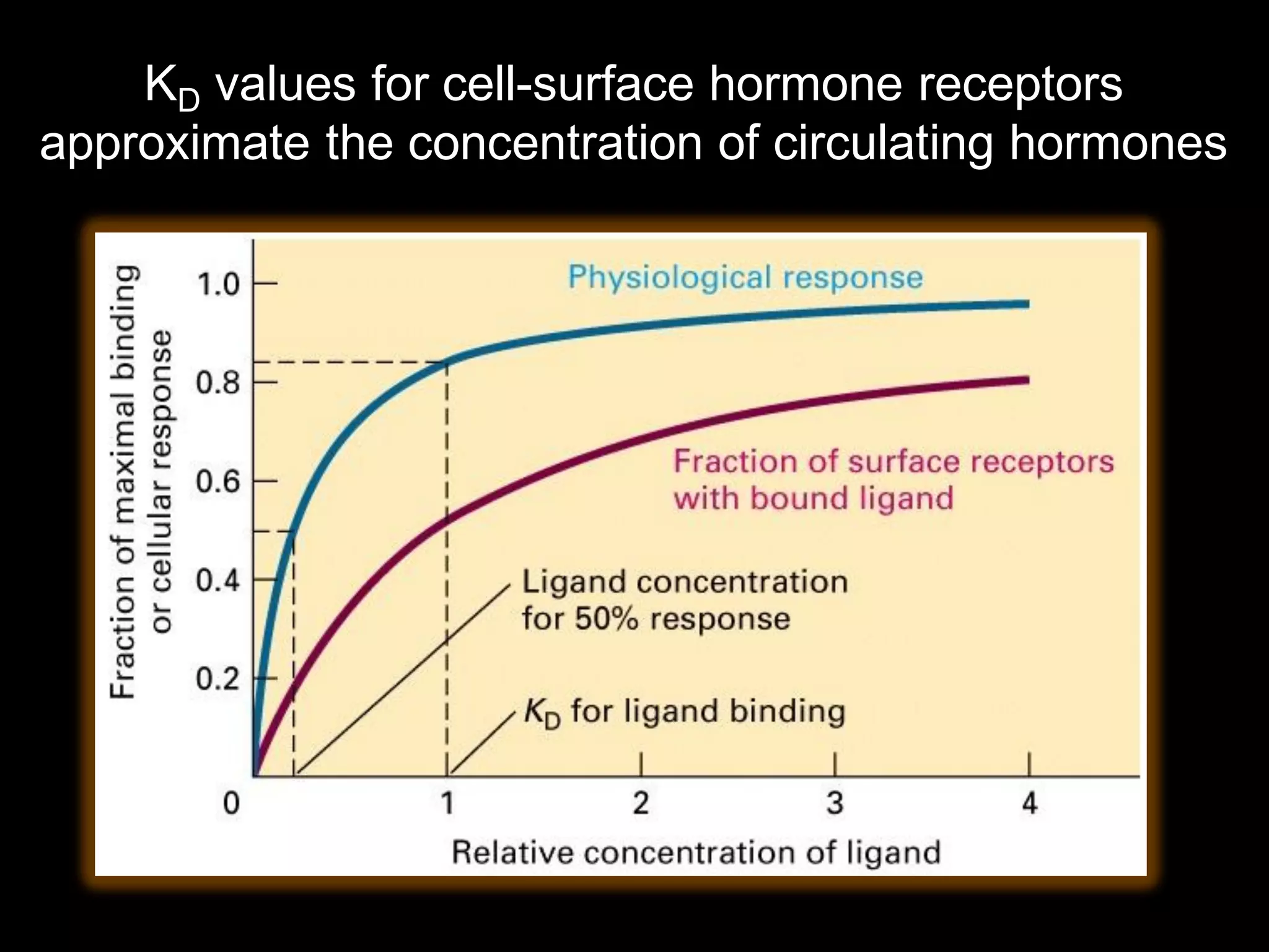 KD values for cell-surface hormone receptors
approximate the concentration of circulating hormones
 
