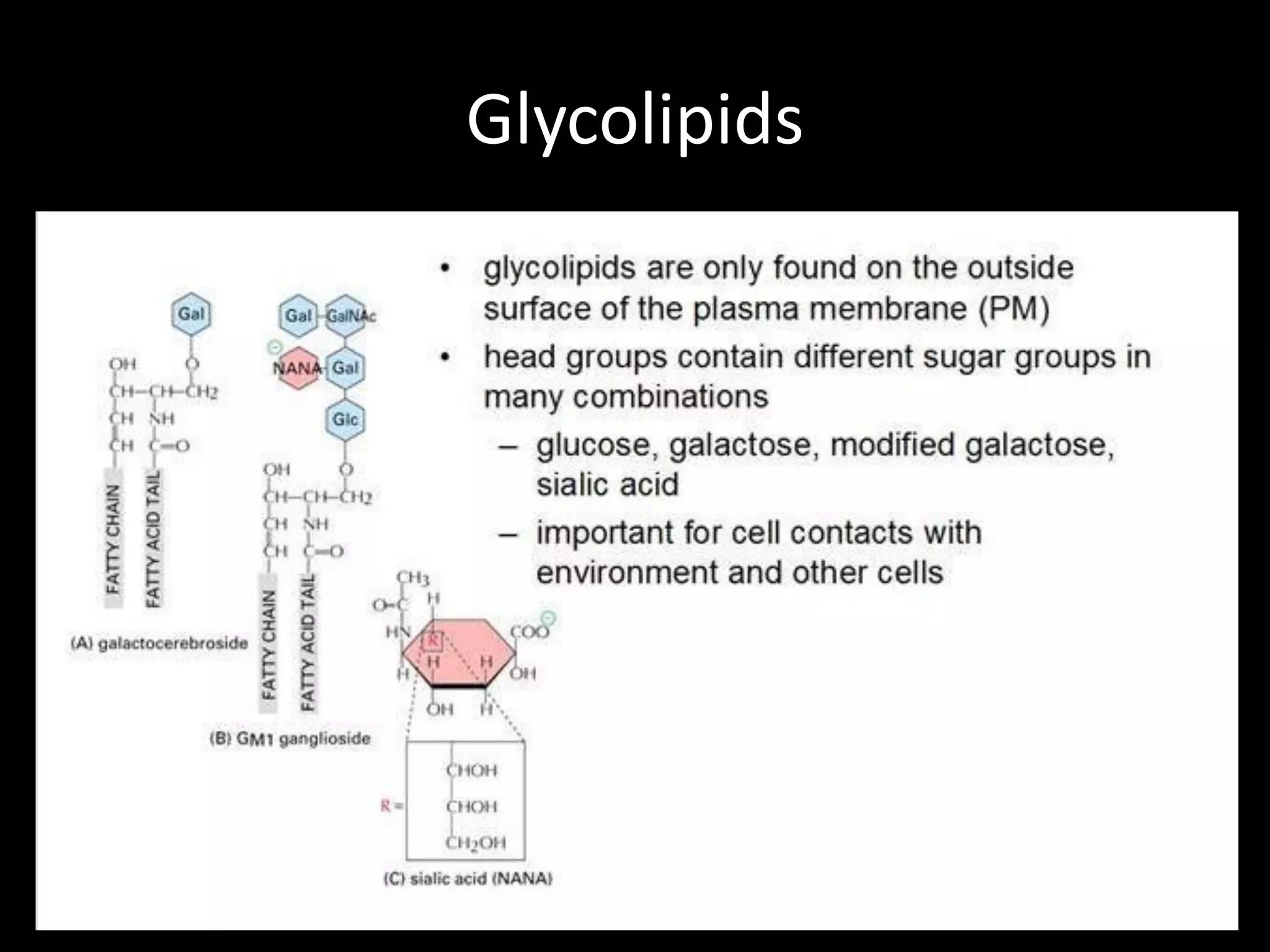 Glycolipids
 