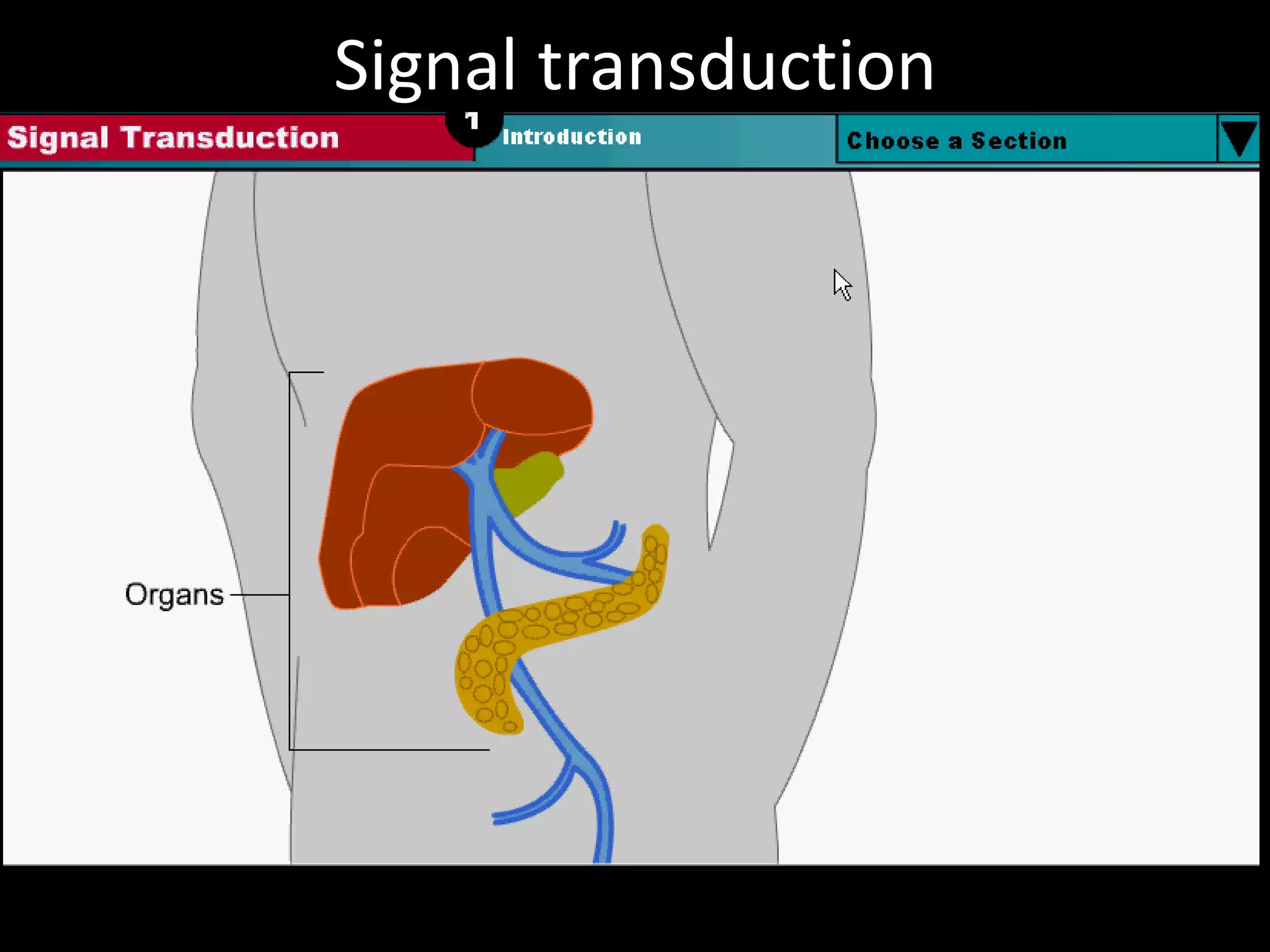 Signal transduction
 