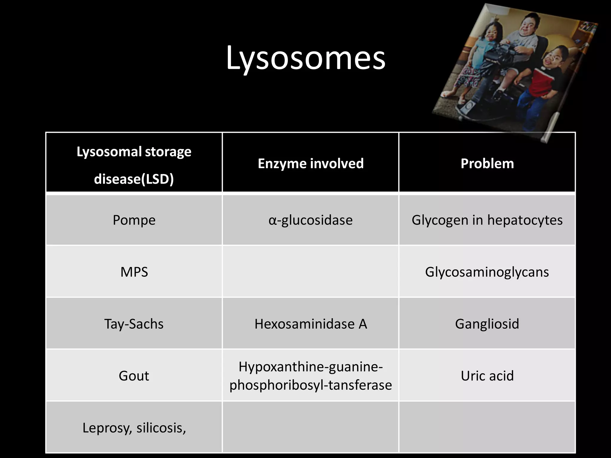 Lysosomes

Lysosomal storage
                          Enzyme involved                Problem
  disease(LSD)

     Pompe                 α-glucosidase          Glycogen in hepatocytes


      MPS                                           Glycosaminoglycans


    Tay-Sachs            Hexosaminidase A               Gangliosid

                       Hypoxanthine-guanine-
      Gout                                               Uric acid
                      phosphoribosyl-tansferase

Leprosy, silicosis,
 