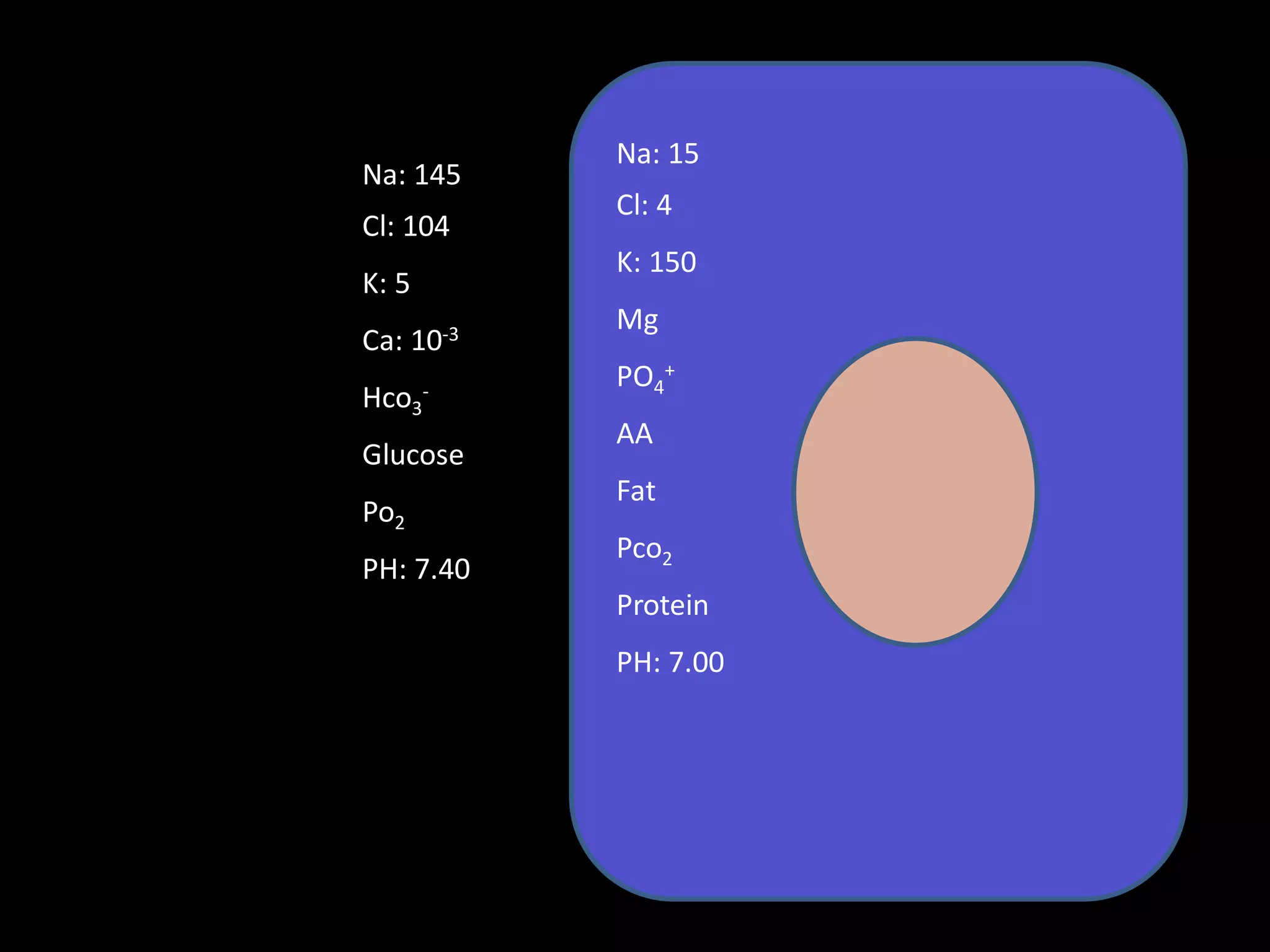 Na: 15
Na: 145
           Cl: 4
Cl: 104
           K: 150
K: 5
           Mg
Ca: 10-3
       -
           PO4+
Hco3
           AA
Glucose
           Fat
Po2
           Pco2
PH: 7.40
           Protein
           PH: 7.00
 