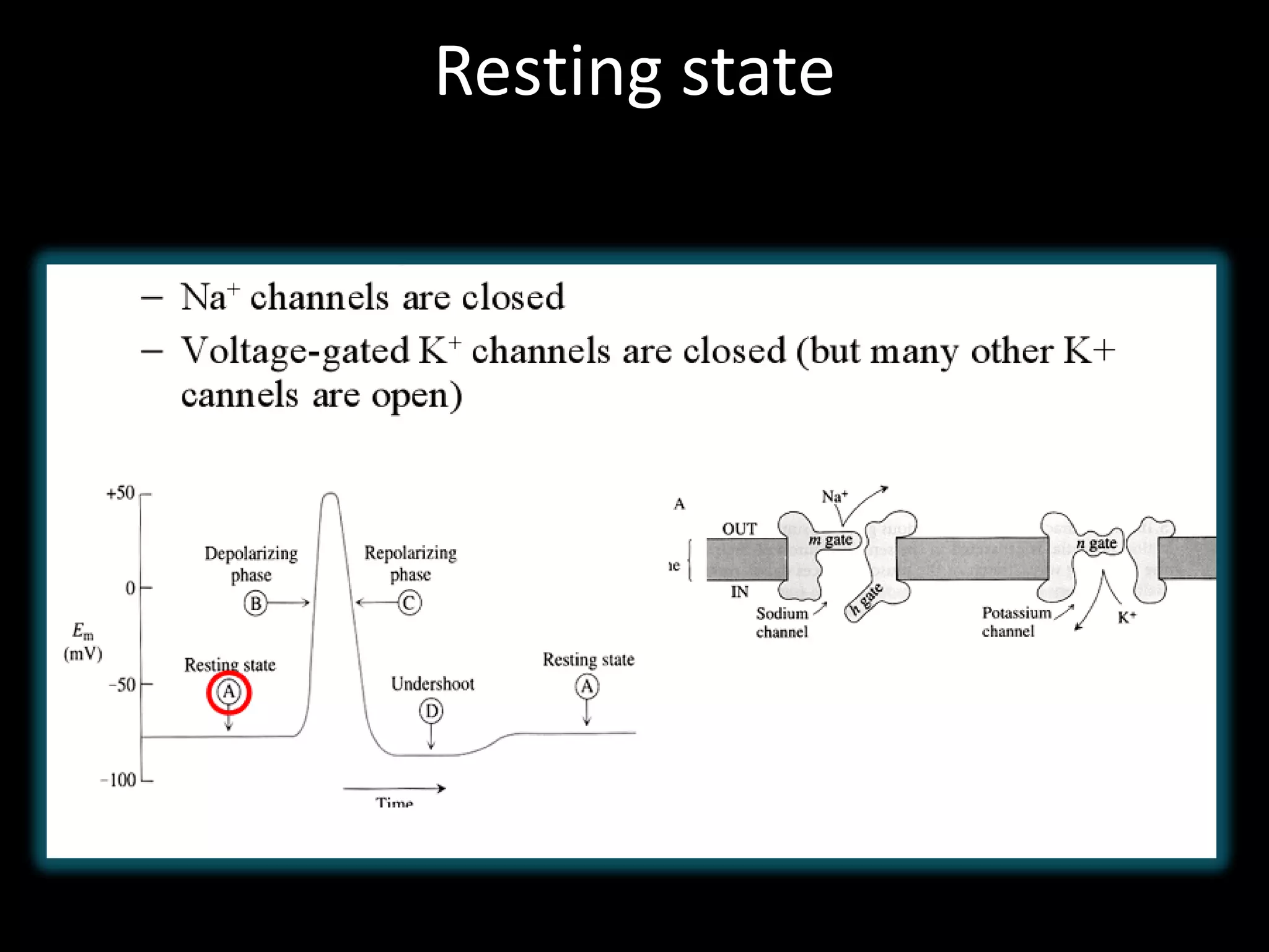 Resting state
 
