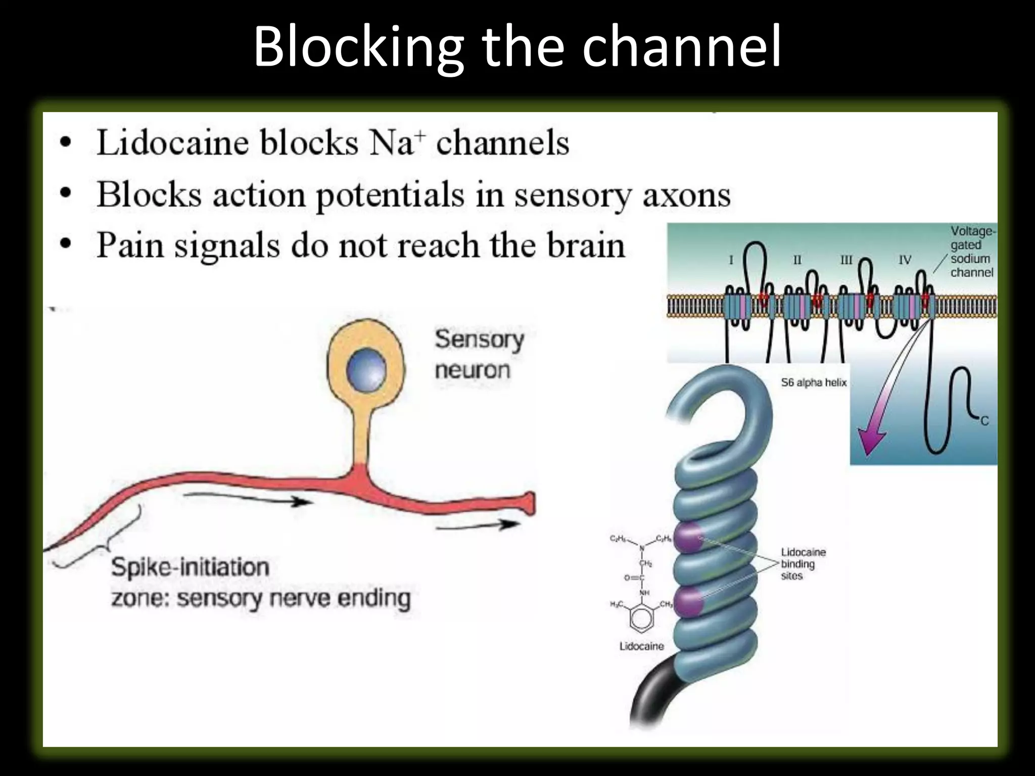 Blocking the channel
 