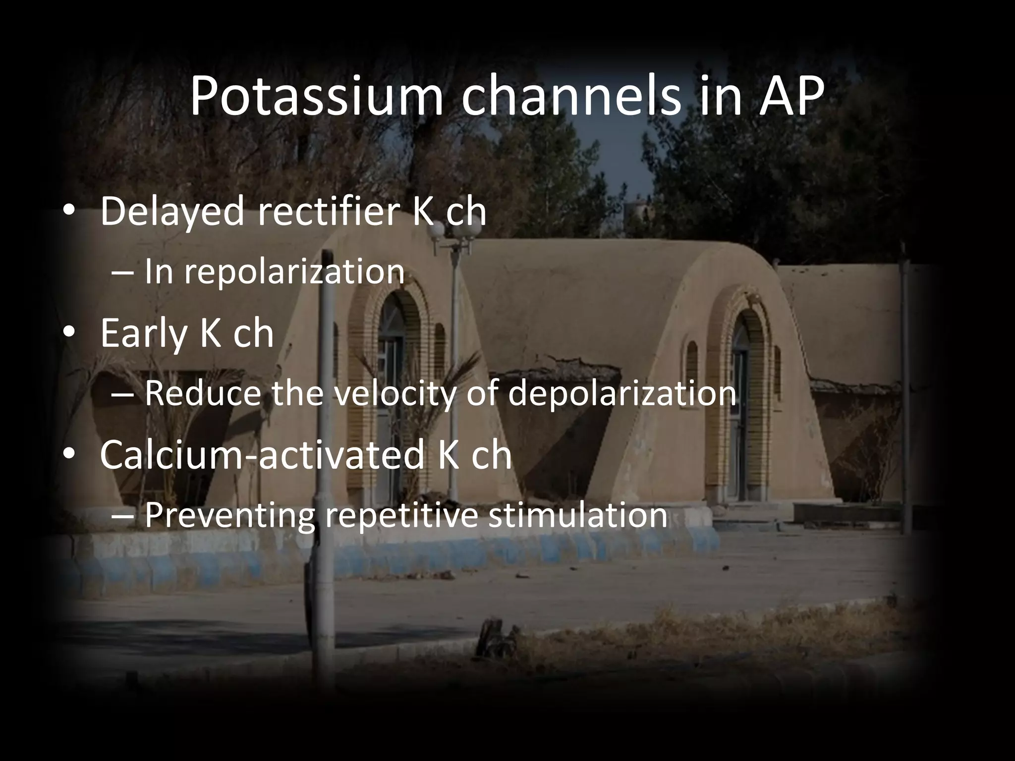 Potassium channels in AP
• Delayed rectifier K ch
  – In repolarization
• Early K ch
  – Reduce the velocity of depolarization
• Calcium-activated K ch
  – Preventing repetitive stimulation
 
