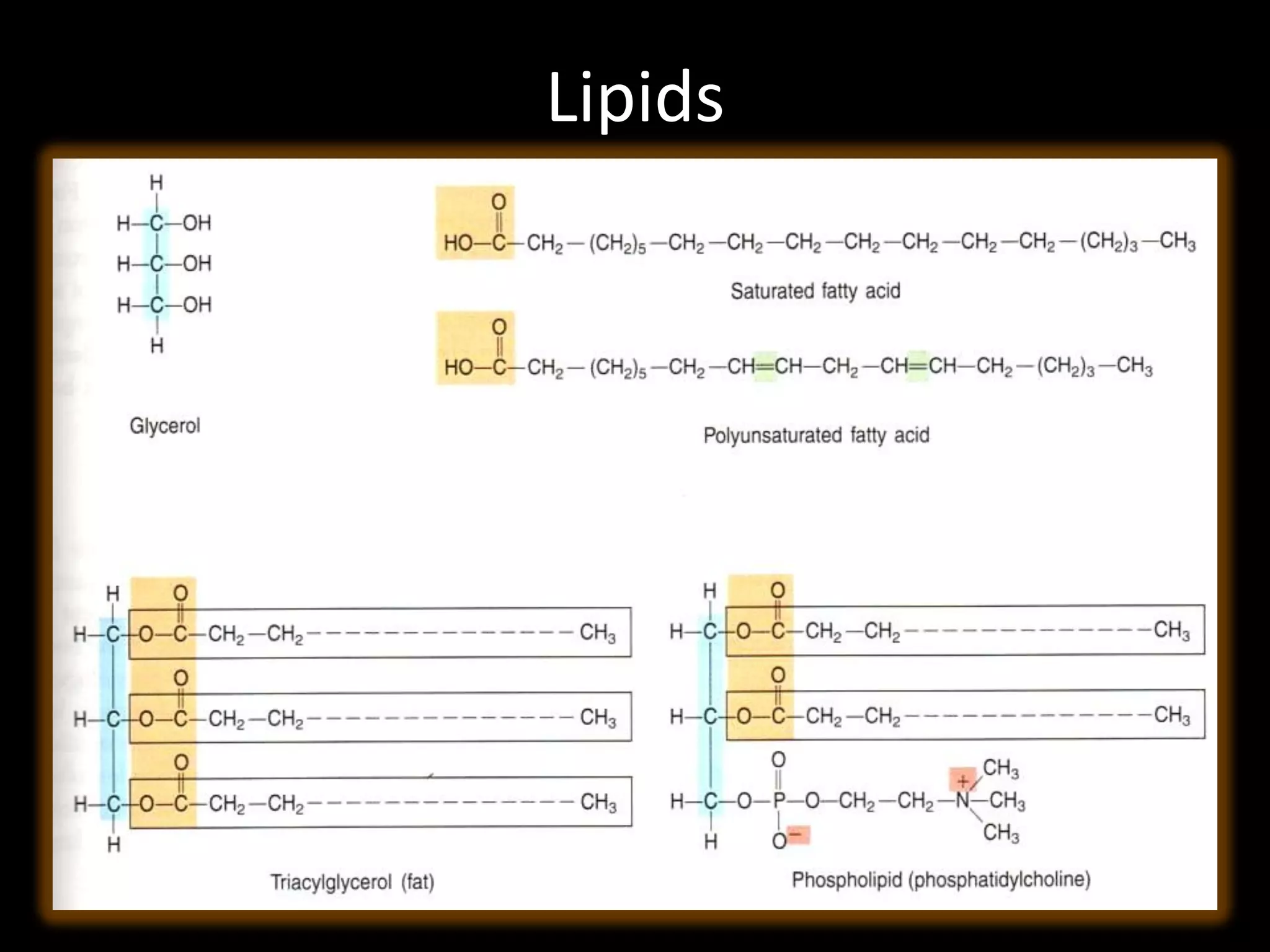Lipids
 