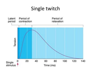 Single twitch
 