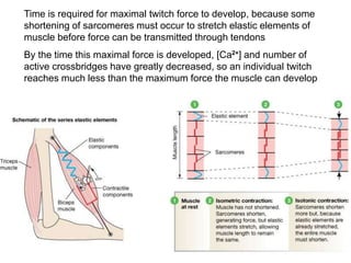Time is required for maximal twitch force to develop, because some
shortening of sarcomeres must occur to stretch elastic elements of
muscle before force can be transmitted through tendons
By the time this maximal force is developed, [Ca2+
] and number of
active crossbridges have greatly decreased, so an individual twitch
reaches much less than the maximum force the muscle can develop
 